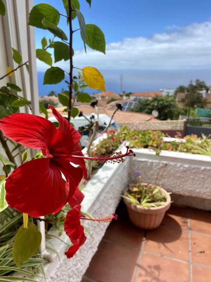 Guanche Bay Apartment Santa Cruz de Tenerife Ngoại thất bức ảnh